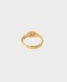 Ivy Gold Plated Ring, Malachite | Really Wild | Flatshot Back